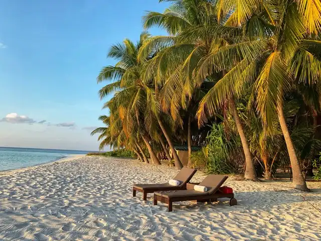 Strand mit zwei Sonnenliegen und im Hintergund Palmen